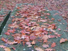 DSCN9922 DSCN9922