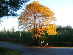DSCN9949 DSCN9949