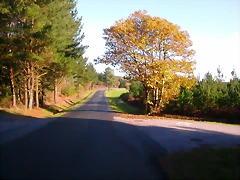 DSCN9908 DSCN9908