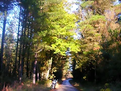 DSCN9909 DSCN9909