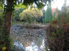 DSCN9915 DSCN9915