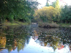 DSCN9916 DSCN9916