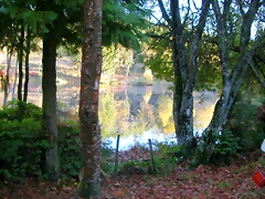 DSCN9931 DSCN9931
