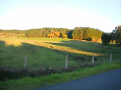 DSCN9951 DSCN9951