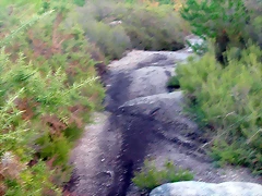 DSCN9962 DSCN9962