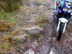 DSCN9965 DSCN9965