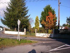 DSCN9906 DSCN9906