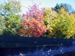 DSCN9907 DSCN9907