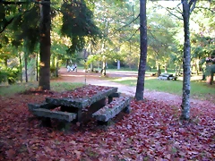 DSCN9920 DSCN9920