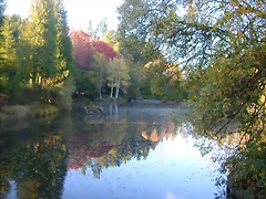 DSCN9928 DSCN9928
