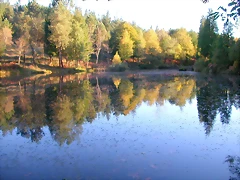DSCN9933 DSCN9933
