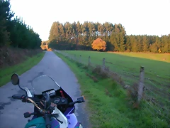 DSCN9953 DSCN9953