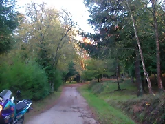 DSCN9925 DSCN9925
