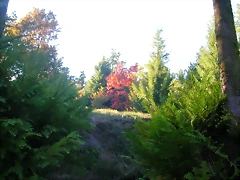 DSCN9930 DSCN9930