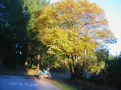 DSCN9950 DSCN9950
