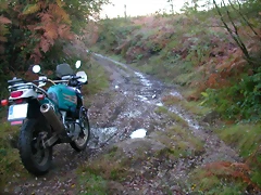 DSCN9966 DSCN9966