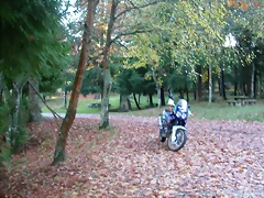 DSCN9934 DSCN9934