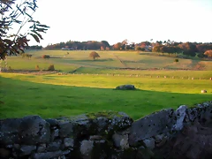 DSCN9954 DSCN9954