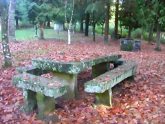 DSCN9921 DSCN9921