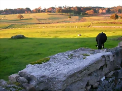 DSCN9956 DSCN9956