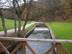 DSCN3976 DSCN3976