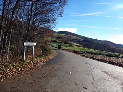 DSCN1442 DSCN1442