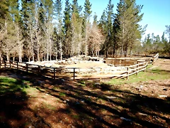 DSCN1574 DSCN1574