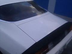 IMAG0511 IMAG0511