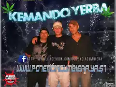 kemando yerba 2012