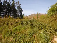 DSCN2116 DSCN2116