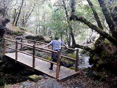 DSCN7964 DSCN7964