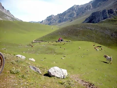 DSCN8149 DSCN8149