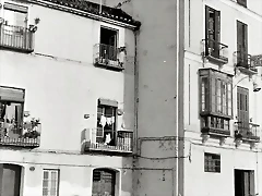 avenida la rosaleda