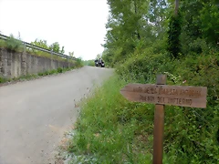 DSCN0973 DSCN0973