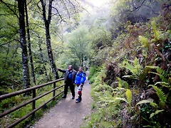 DSCN4736 DSCN4736