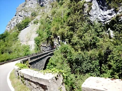 DSCN6960 DSCN6960