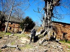 DSCN3787 DSCN3787