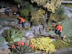 P1200045 P1200045