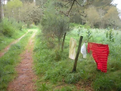 DSCN4204 DSCN4204