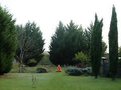 IMG_2532 (Copier) IMG_2532 (Copier)