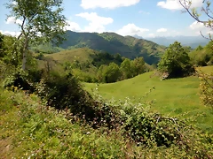 DSCN0683 DSCN0683