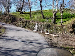 DSCN8039 DSCN8039