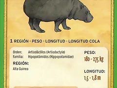 hipopotamo pigmeo