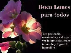 Buen lunes