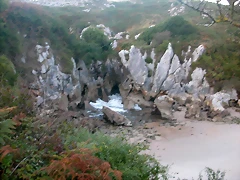 DSCN1317
