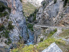 DSCN1021 DSCN1021