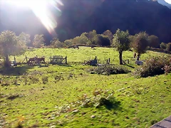 DSCN1289 DSCN1289