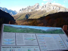 DSCN1049 DSCN1049