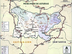 Picos martes Picos martes