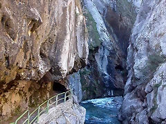 DSCN0993 DSCN0993